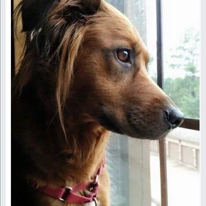 Meet your Posher, Kristen